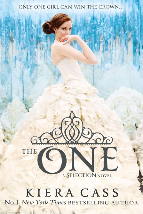 The Selection (3) - The One
