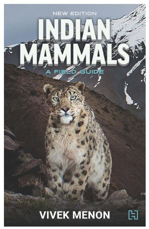 Indian Mammals