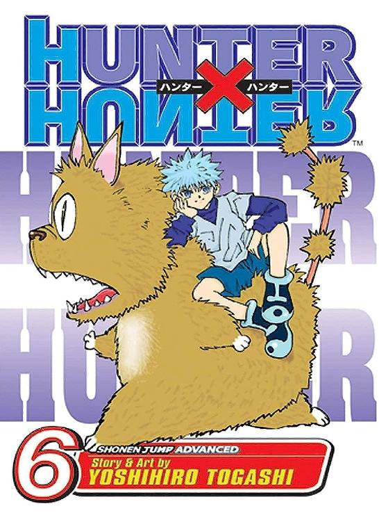 Hunter X Hunter, Vol. 06: NEN SENSE: Volume 6