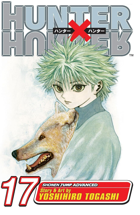 Hunter X Hunter, Vol. 17: A Fierce Three-Way Struggle: Volume 17