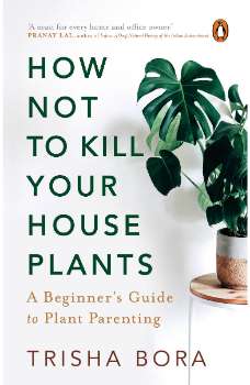 How Not To Kill Your Houseplants: A Begi