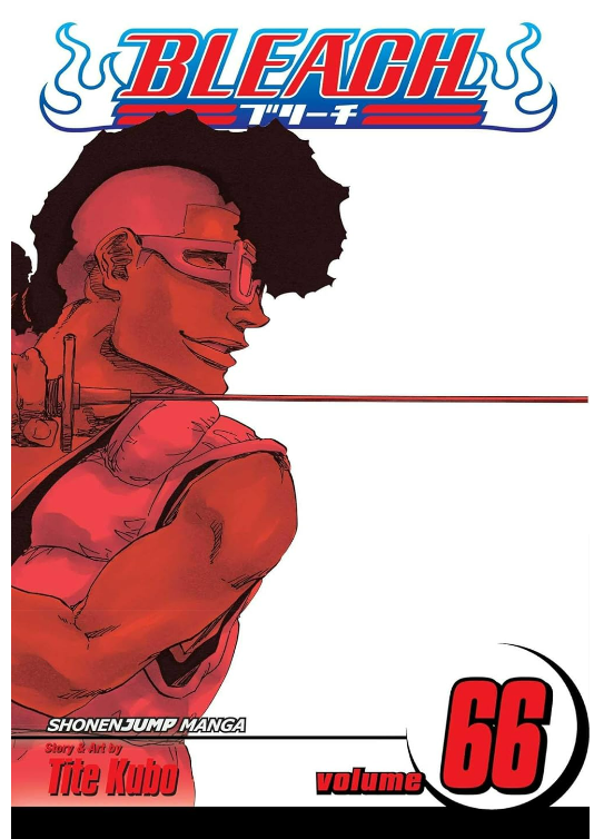 Bleach 66: Sorry I Am Strong: Volume 66