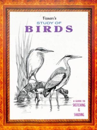 Study Of Birds A Guide To Sketching & Shading 